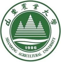 山東農業大學